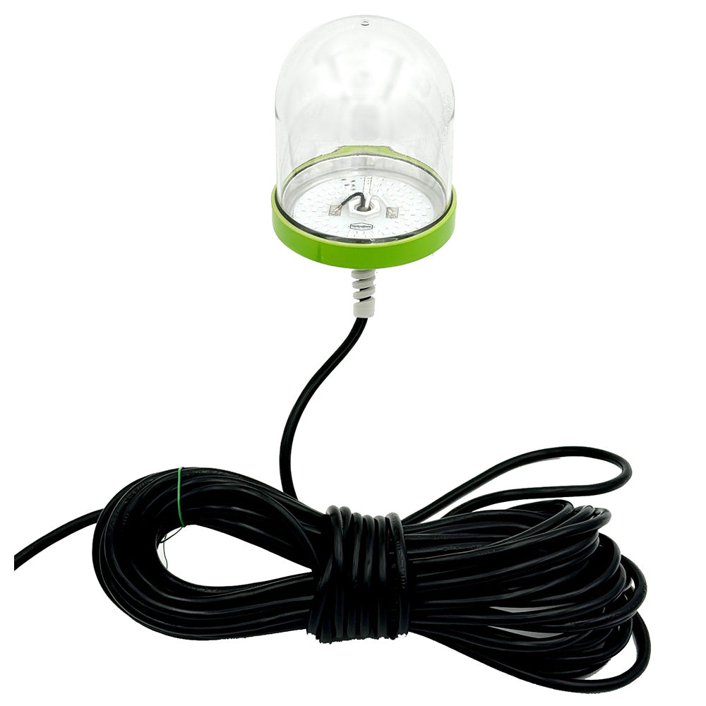 Hydro Glow SF100G 100W120VAC Underwater Dock Light Green Anchored To Bottom SF100G